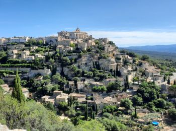 Trail Walking Gordes - Gordes - Abbaye de Sénanque 12km - Photo