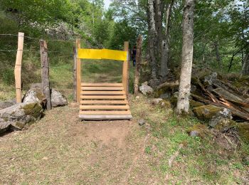 Randonnée Marche Murat - Chastel-sur-Murat  - Photo