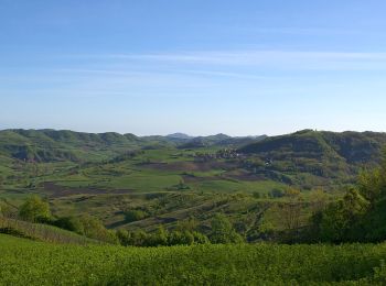 Tour Zu Fuß Godiasco Salice Terme - IT-172 - Photo