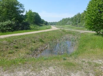 Trail On foot  - Naturstien i Hedeland - Photo