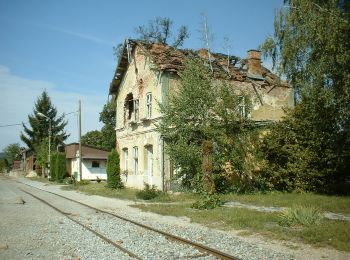 Tour Zu Fuß  - Lipik - planinarski dom Omanovac - Photo