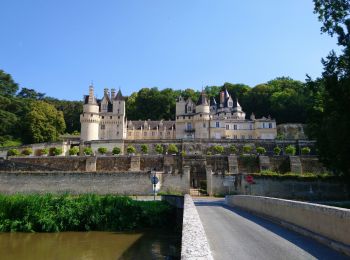 Randonnée Marche Rigny-Ussé - Rigny-Ussé - Bréhémont - 25.7km 110m 5h30 (40mn) - 2021 07 17 - Photo