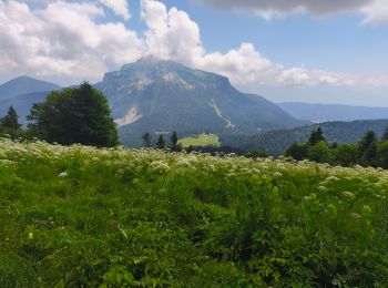 Trail Walking Saint-Pierre-de-Chartreuse - 19 juin 2025 col de porte le charmant Son - Photo