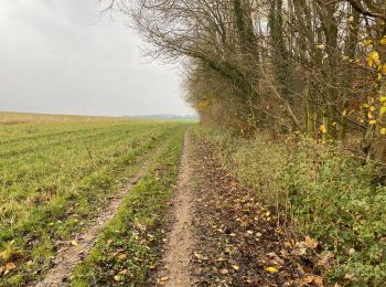 Randonnée Marche Fernelmont - Franc Waret 23 km - Photo