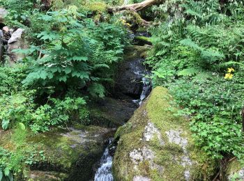 Randonnée Marche Stosswihr - Chemin des cascades - Photo