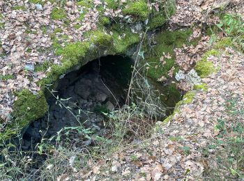 Excursión Senderismo Sommières - Les boucles du Vidourle - Photo