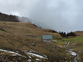 Tour Wandern Theys - De Pipay vers le Crêt du boeuf en boucle - 14 nov 2021 - Photo