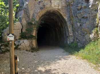 Percorso Marcia Foncine-le-Bas - Foncines-le-Bas, du viaduc des Douanets à  la cascade du Bief de la Ruine. - Photo