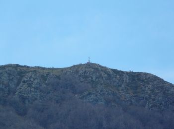 Randonnée A pied Viladrau - SL-C 82 Coll de Bordoriol-Coll Pregon - Photo