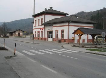 Randonnée A pied Grimmenstein - Verbindungsweg Hochegg-Grimmenstein - Photo