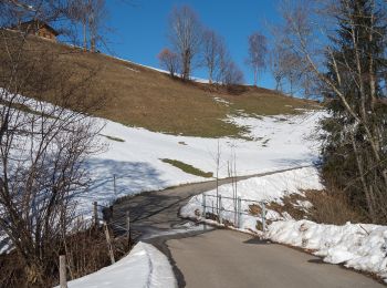 Trail On foot Escholzmatt-Marbach - Escholzmatt - Gmeinwerch - Photo