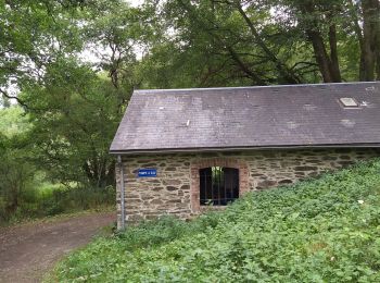 Trail Walking Daverdisse - Porcheresse Grinchi - Photo