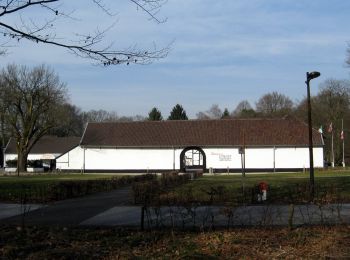 Tour Zu Fuß Houthalen-Helchteren - Kelchterhoef Blauwe ruit - Photo