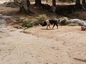 Randonnée Marche Cozzano - GR20 Corse étape 13 - Photo