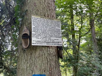 Randonnée Marche Thiéfosse - Gorges de crosery  - Photo