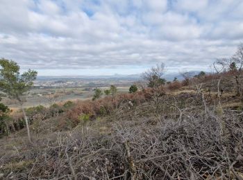 Randonnée Marche Puygiron -  Puygiron 