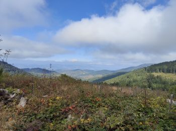 Tour Wandern Le Bessat - Croix de Chaubouret - Crêt de Botte - Col de l'Oeuillon  - Photo