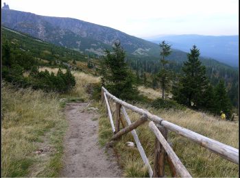 Tour Zu Fuß  - Pod Łabskim Szczytem - Rozdroże pod Wielkim Szyszakiem - Photo