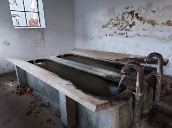 Excursión Senderismo Tintigny - Bellefontaine _ Marche Privée  - Photo