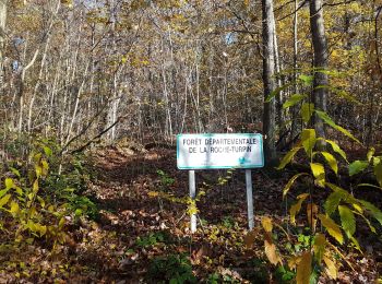 Percorso Marcia Bruyères-le-Châtel - bois de turpin - Photo