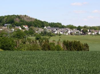 Randonnée A pied Ruppach-Goldhausen - Themenweg Ton blau - Photo