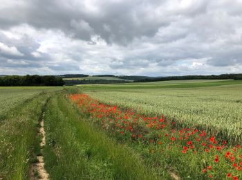 Randonnée Vélo électrique Amiens - Amiens Gouy les groseilliers  - Photo