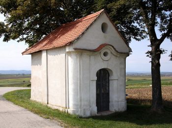 Tocht Te voet Zagersdorf/Cogrštof - Siedlerweg der Poljanci - Photo