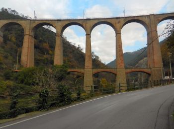 Tour Zu Fuß Genua - Sentiero EC1 - Photo