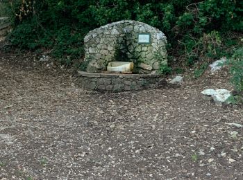 Tocht Stappen Aubagne - La couette - Photo