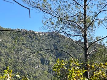 Excursión Senderismo Montauroux - Si Agnes - Photo