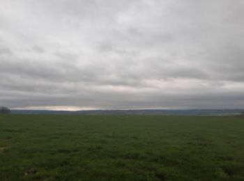 Tour Wandern Sprimont - florzé . redoute .  sur la heid . brassine . aywaille . chateau ambleve . totale.  rouvreux . florzé  - Photo