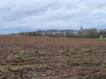 Randonnée Marche Cerfontaine - Villers Deux Églises 130323 - Photo