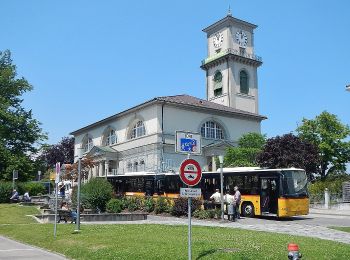 Randonnée A pied Heiden - Gesundheitsweg - Photo