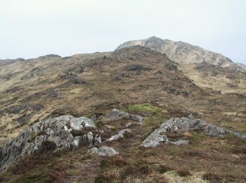 Excursión A pie West Cork - Peakeen Ridge Loop Walk - Photo