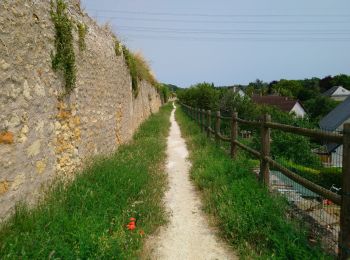 Percorso Marcia Vouvray - Vouvray - PR balisé en bleu - 15.1km 125m 3h30 - 2023 06 28 - Photo