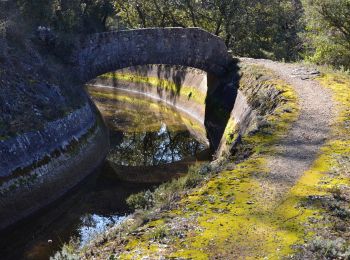 Excursión Senderismo Montauroux - Montauroux - Stade - Pont des Tuves - Chapelle St Saturnin - Dolmen - Ste Cézaire sur Siagne - Photo