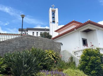 Tocht Stappen Prazeres - Levada Nova - de Prazeres a Calheta - Photo
