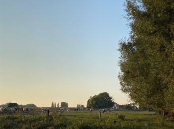 Randonnée Marche Anderlecht - Au travers dès Parc - Photo