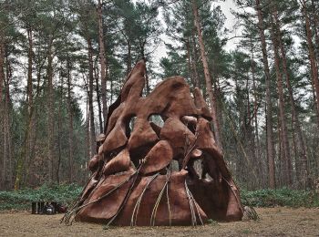 Percorso A piedi Genk - Kattevennen - Papendaalheide - Sledderlo Gele zeshoek - Photo