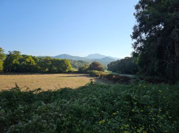 Tour Wandern Calcatoggio - Plage de Stagnione  - Photo