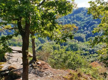 Tour Wandern Vresse-sur-Semois - Promenade de la Table des Fées à Bohan - Photo