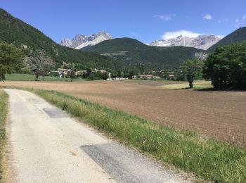 Tocht Mountainbike Veynes - Cols de Matacharre et de la Conode - Photo