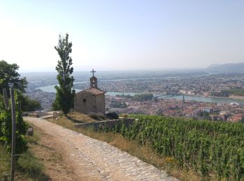 Randonnée Marche nordique Gervans - 26 Gervans Crozes l' Hermitage - Photo