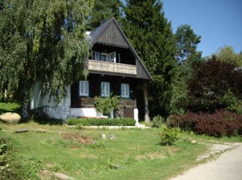 Trail On foot Gemeinde Klausen-Leopoldsdorf - Hochstraß - Ranzenbach - Agsbach - Photo