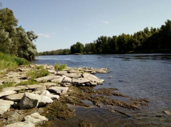 Tocht Stappen Monétay-sur-Allier - montenay sur allier - Photo