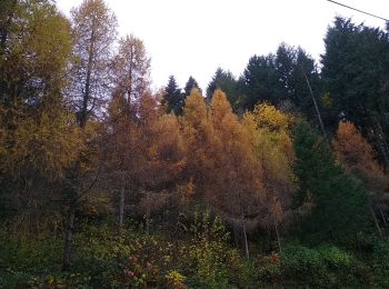 Trail Walking Sentheim - Montori - Photo