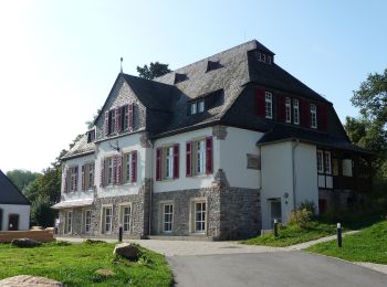 Tour Zu Fuß Stromberg - Rundweg Neupfalz - Photo