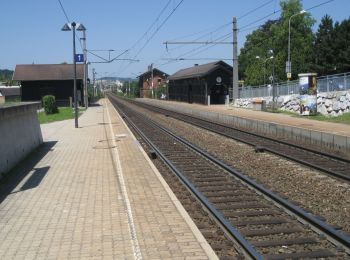 Randonnée A pied Gemeinde Neulengbach - Neulengbach (Bhf) - Buchberg - Photo