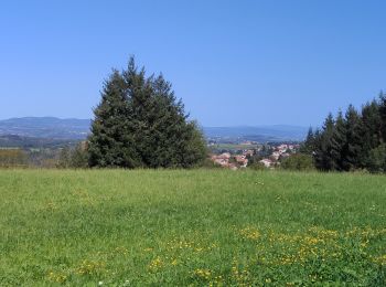 Excursión Senderismo Périgneux - Marche de 10 km de la Fanandrette  - Photo