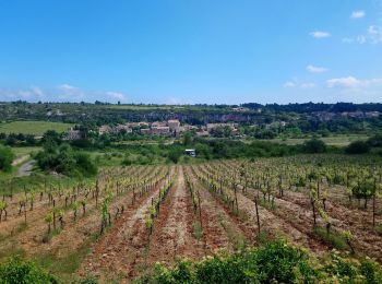 Randonnée Marche Minerve - arsel 21/05/19 minerve - Photo